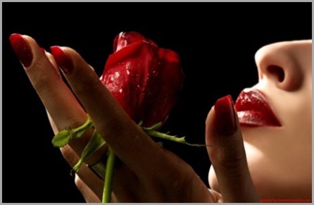 kg-rosen-woman-Rose-amor-WOMAN-WITH-FLOWERS-taglines-rosa-kisses-PMac3-Fiori-rosas-Flowers-and-plants-random-beauty-DJ-TEDI-flower_large_thumb[4]